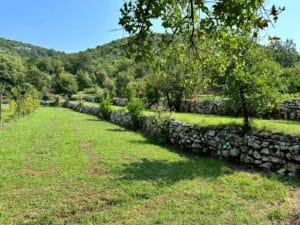 14160 Large Estate Near The Lake Skadar (8)